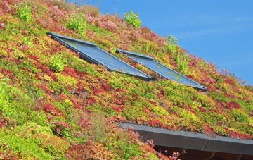 Linlithgow living roof systems